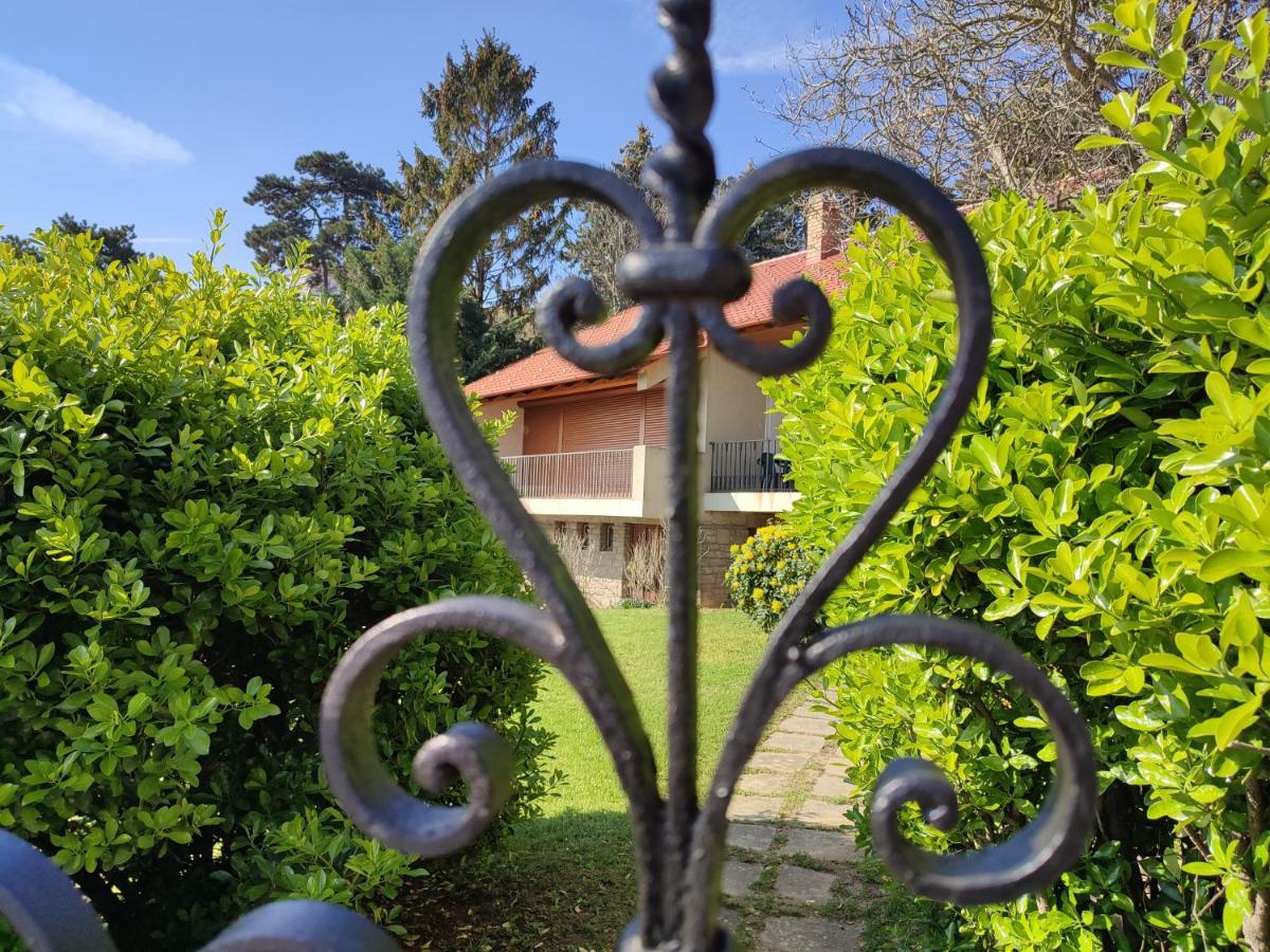 Dorka Villa Tihany Esterno foto