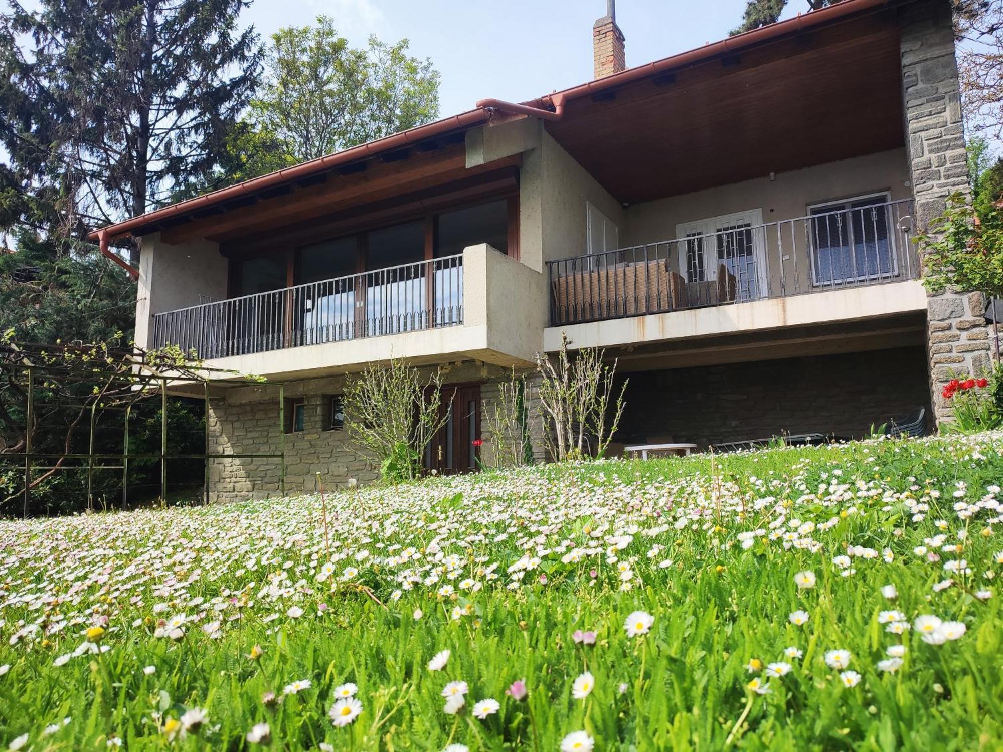 Dorka Villa Tihany Esterno foto
